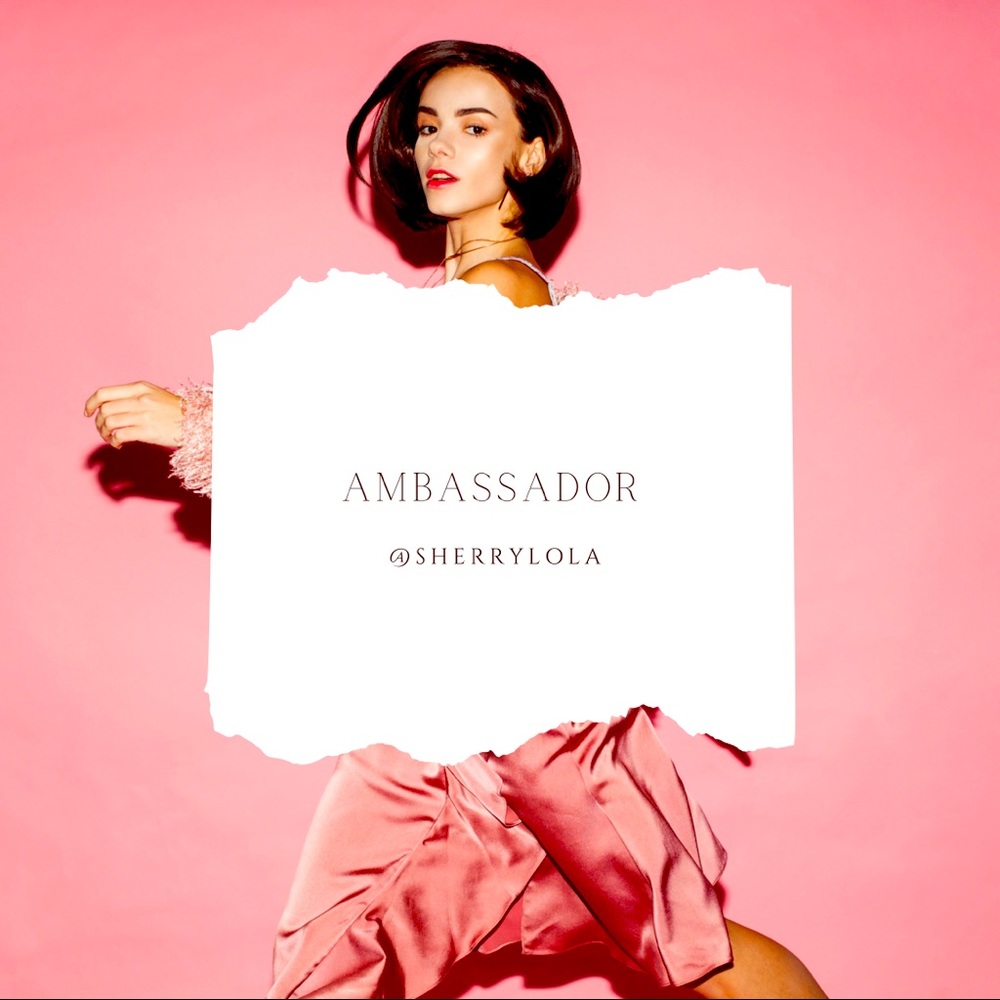 ~ Lifestyles of an Ambassador ~